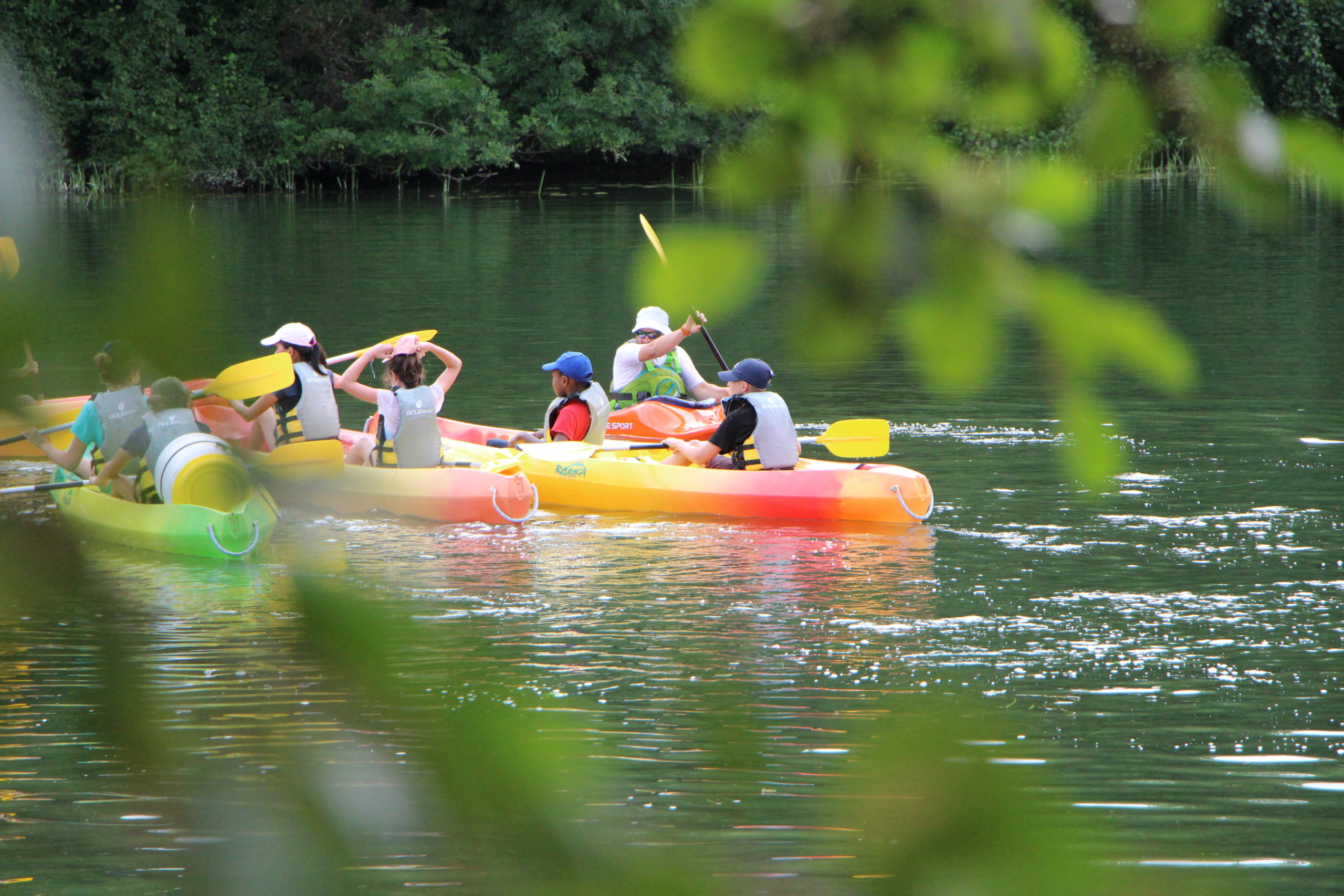 kayak