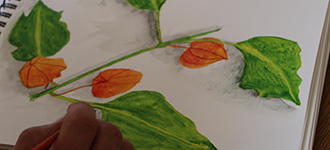 aquarelle_