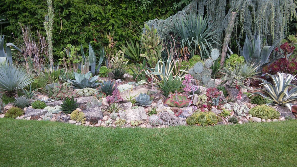 jardincezy