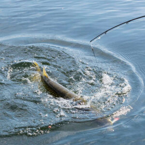 Votre séjour golf en août en Bourgogne avec la Vallée de l'Yonne